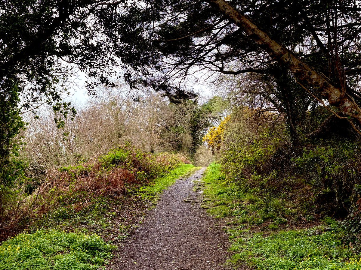 ave_omnibus's tweet image. Walking arm in arm
We found a place to picnic 
Then feasted on love

#vss365 #arm #senryu