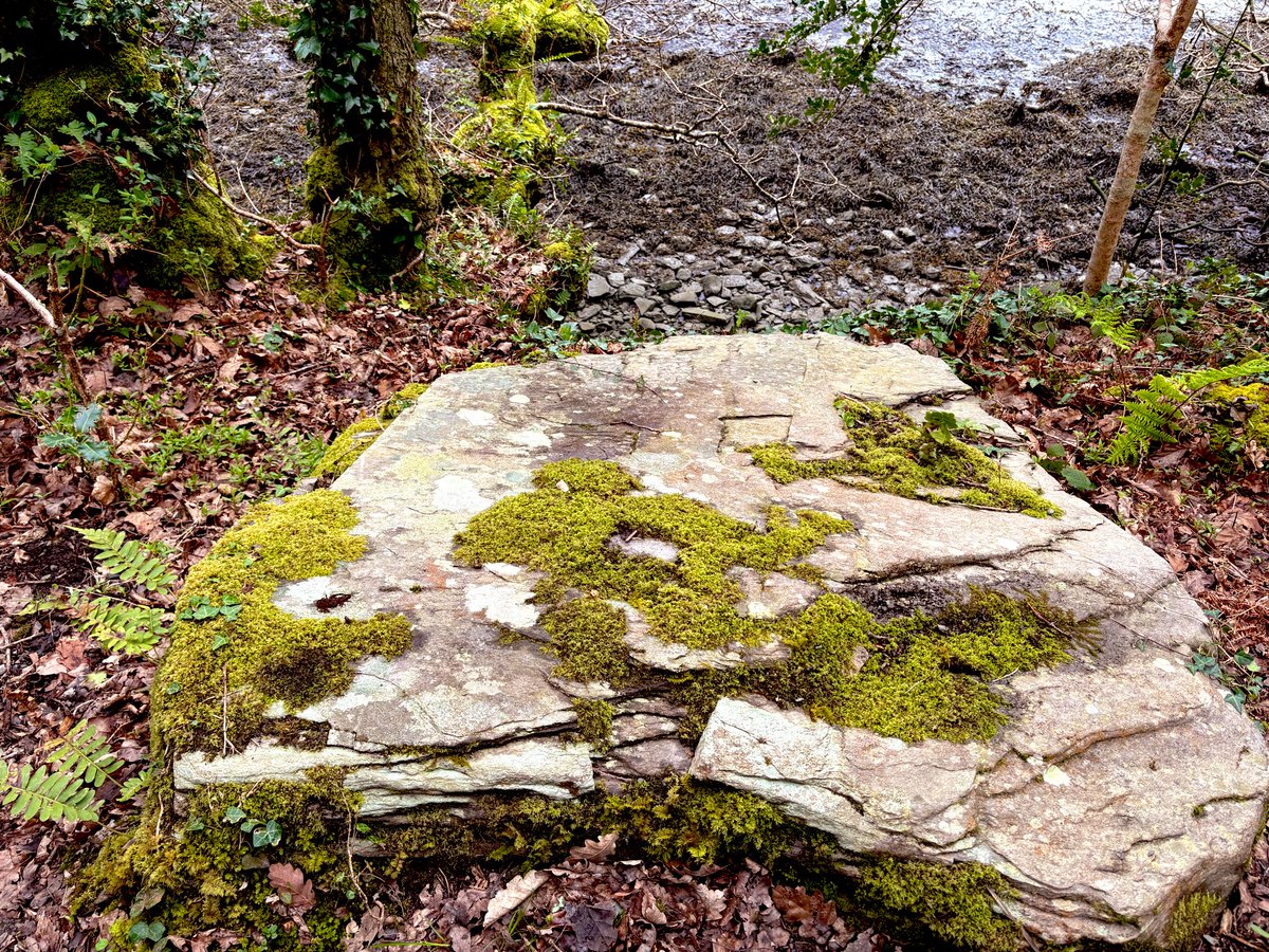 ave_omnibus's tweet image. Walking arm in arm
We found a place to picnic 
Then feasted on love

#vss365 #arm #senryu