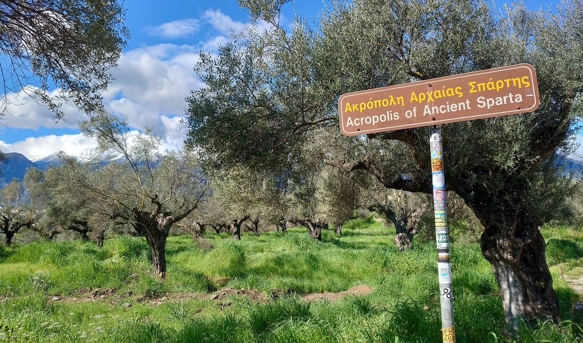 ふたば tweet media