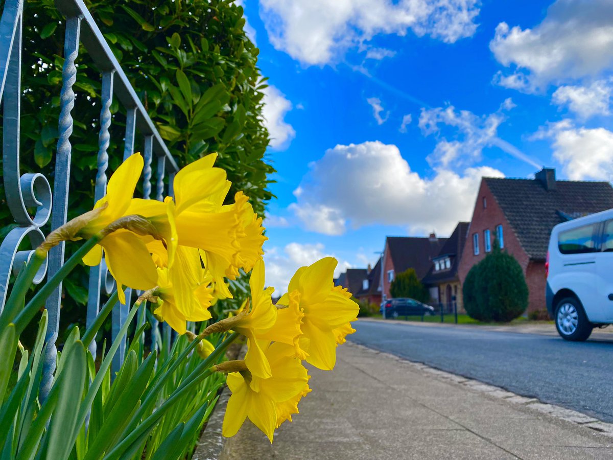 edita hangonyiova tweet media