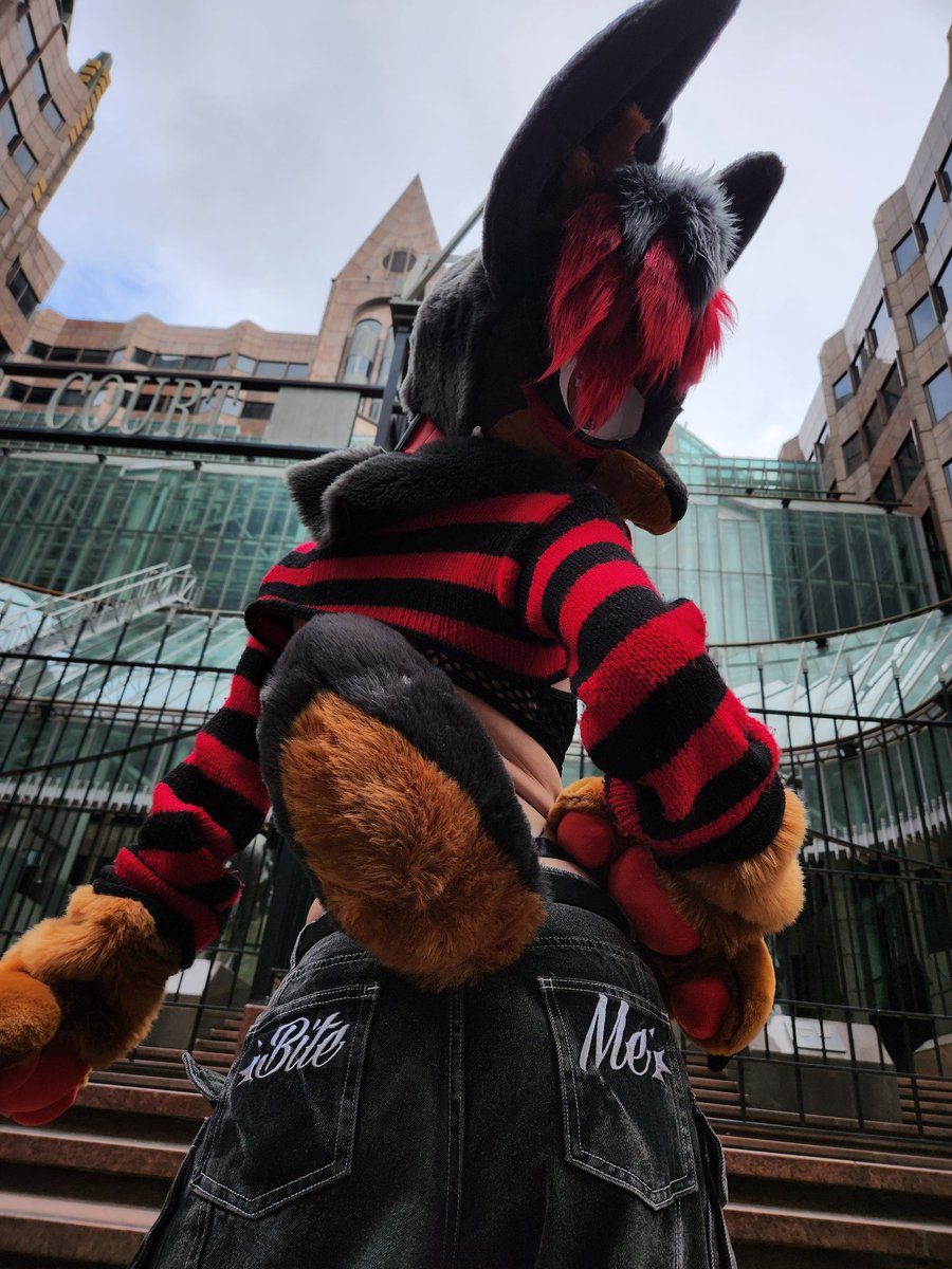 🖤Mutt🖤🔜CFZ tweet media