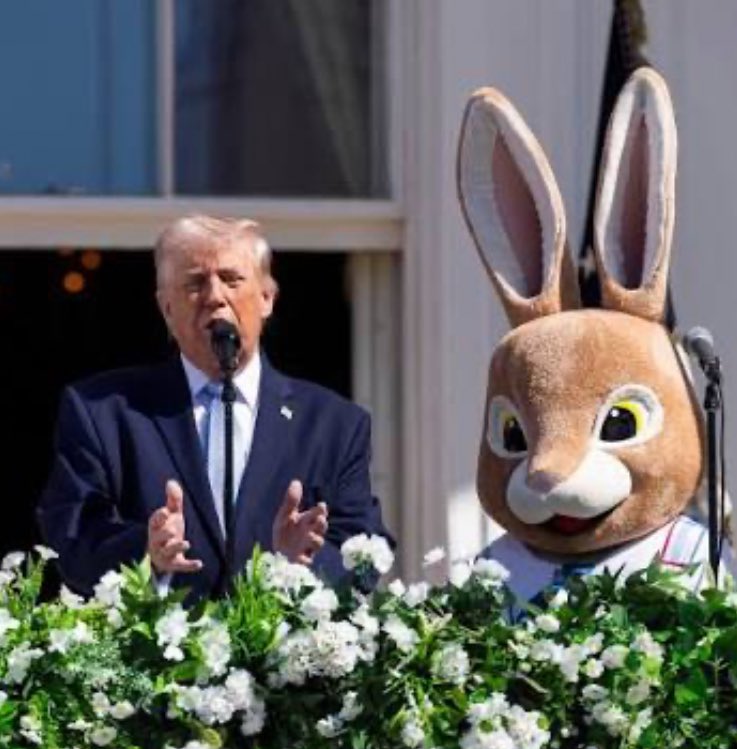 Rita Ortega🌹🍉 tweet media