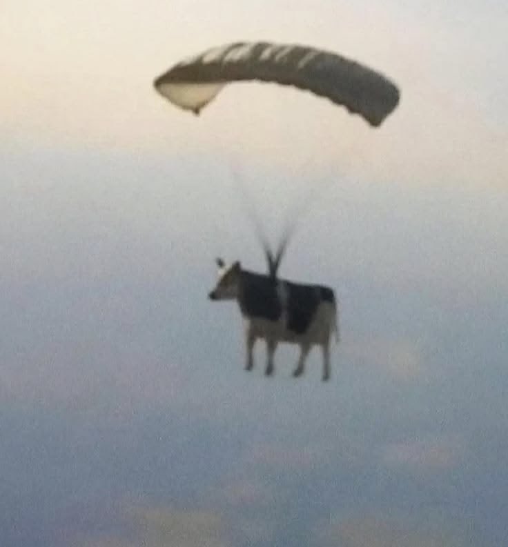 ヤドン🐚パラダイス tweet media