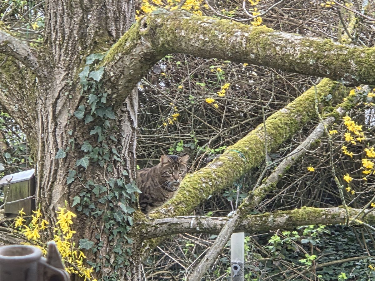 lenny 🥷 tweet media