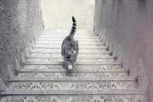 Peter Glaser tweet media