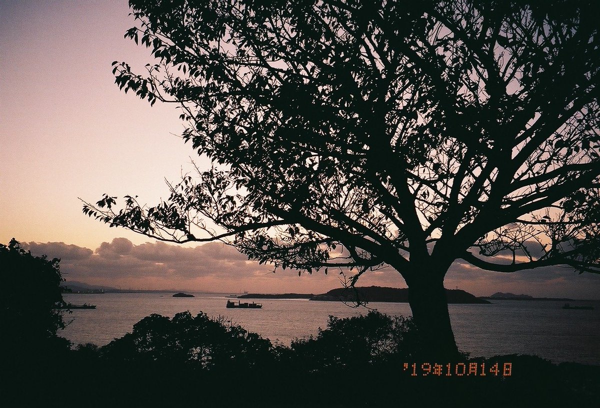 まこさん。 tweet media