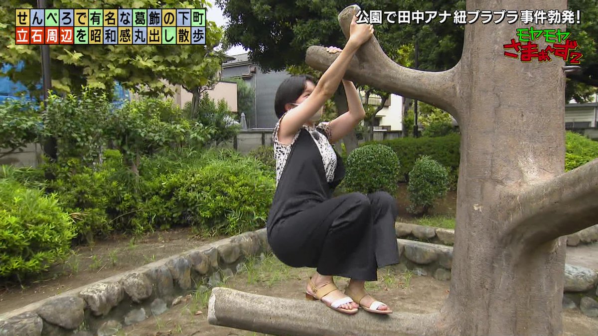 とりま置く tweet media