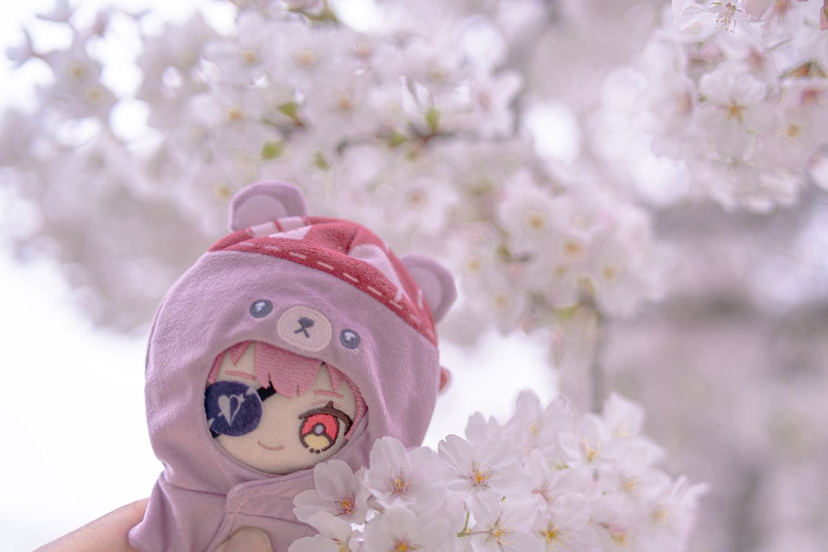 志摩 tweet media