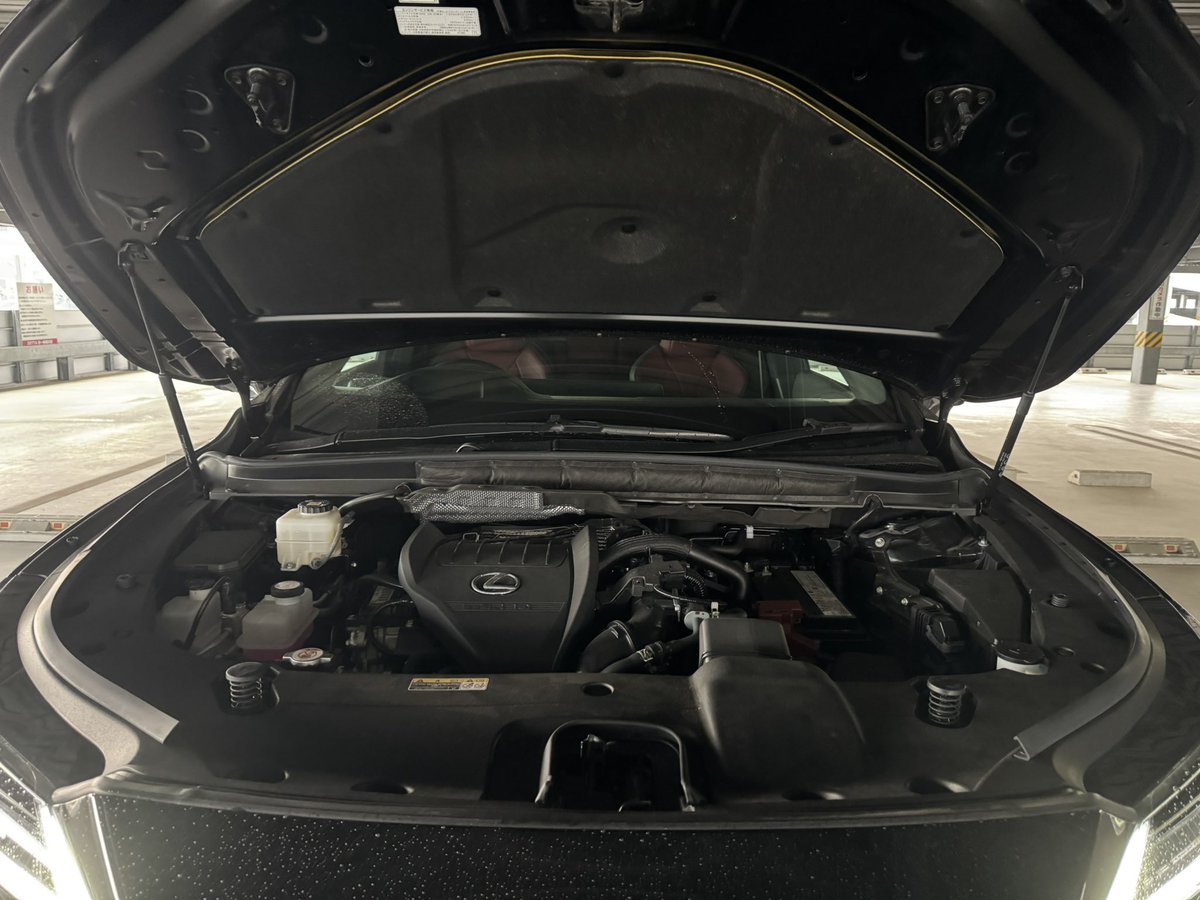 ビタミン tweet media