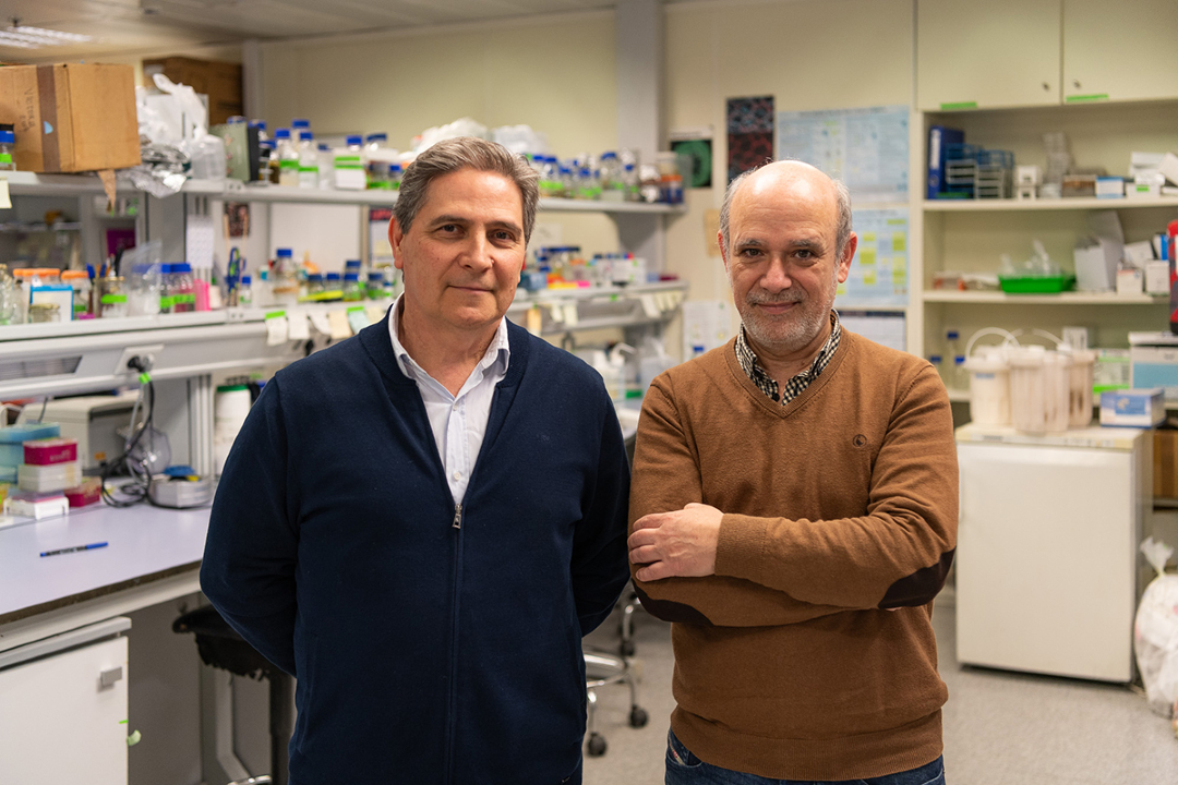 Asociación RUVID tweet media