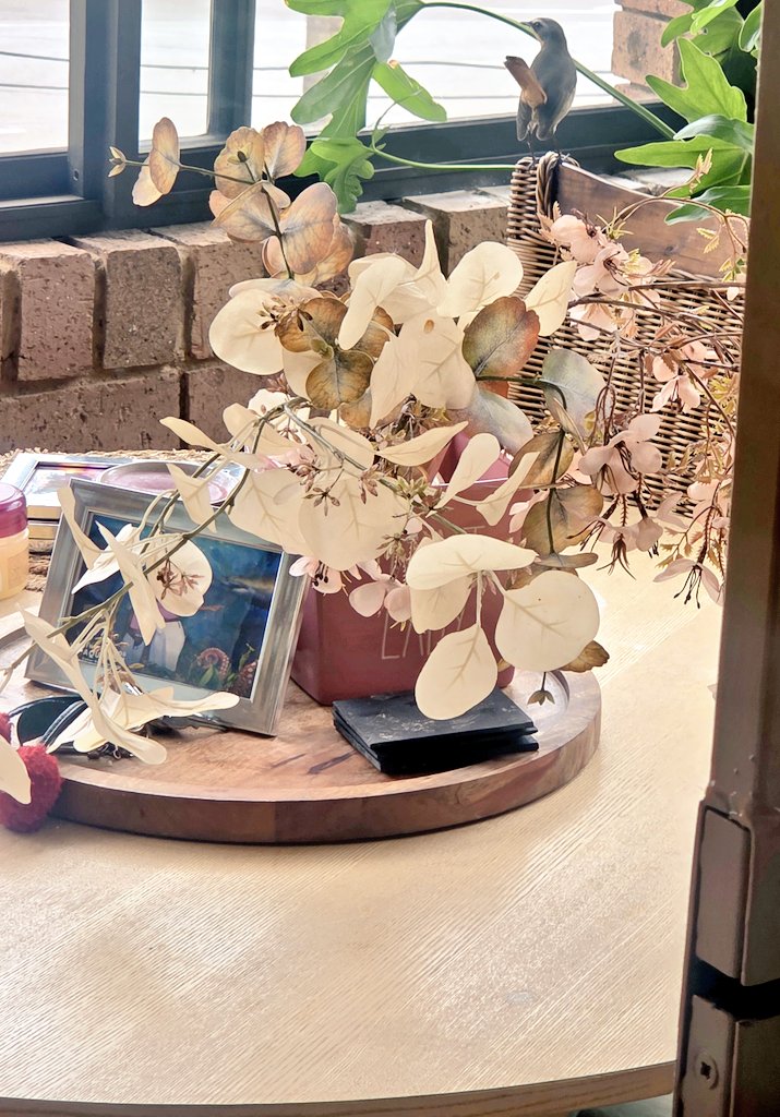 Thandekile Moyo tweet media