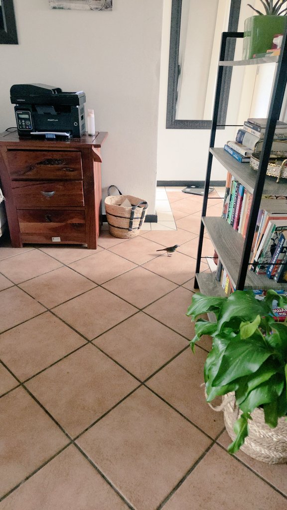 Thandekile Moyo tweet media