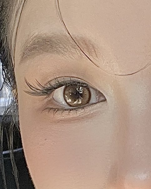 หมวยลี่🕊 tweet media