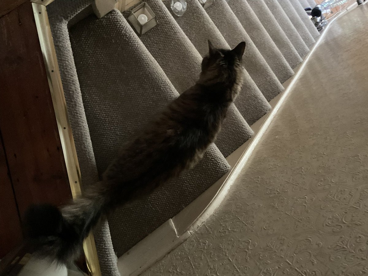 Guy Andrews-Scott tweet media