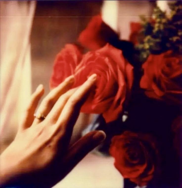 あずき tweet media