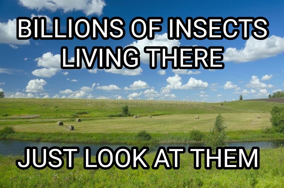 Fighting Stupidity tweet media