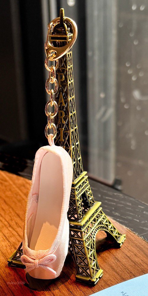 ぬいぬ tweet media