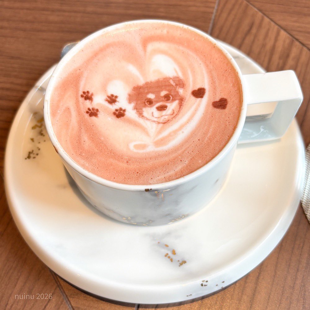 ぬいぬ tweet media