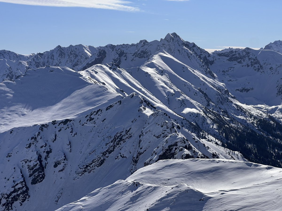 przemyslaw sobczyk tweet media