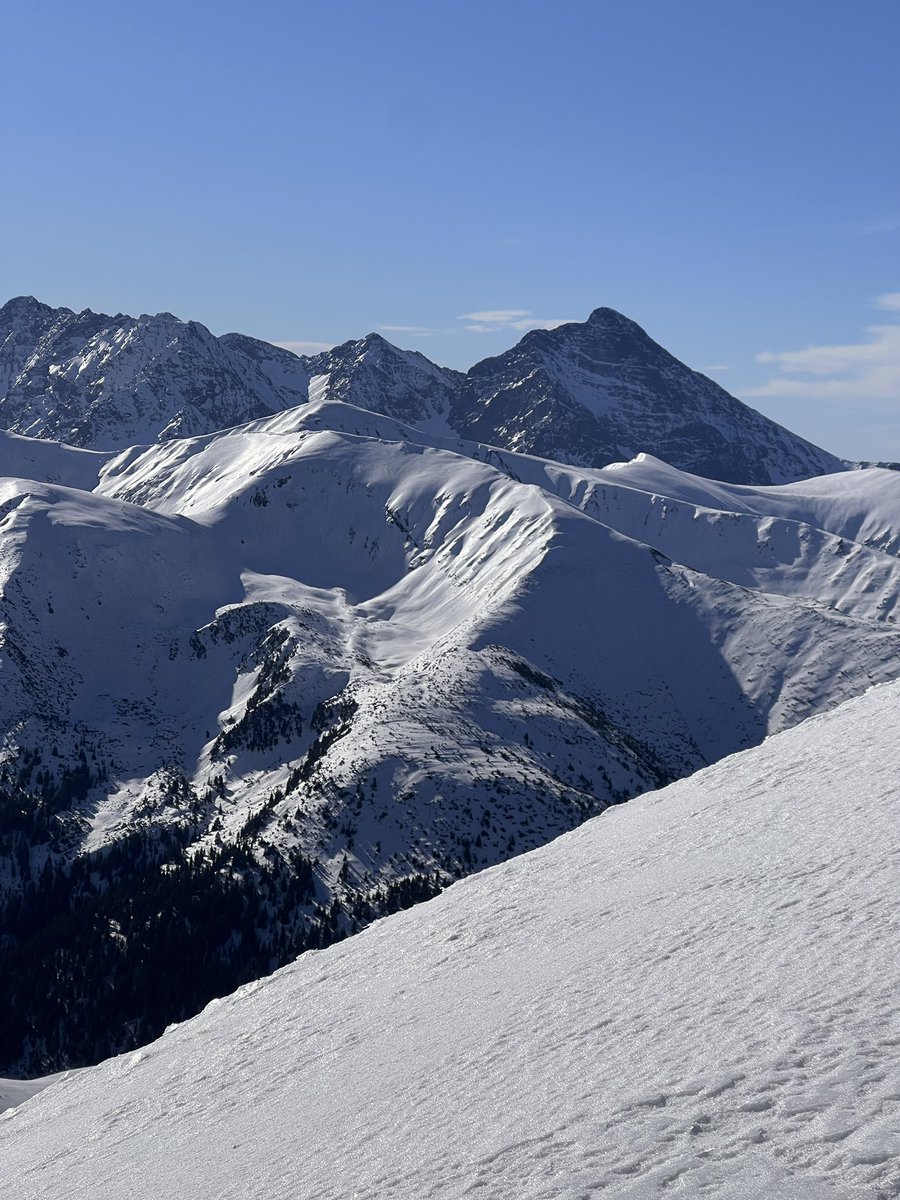 przemyslaw sobczyk tweet media