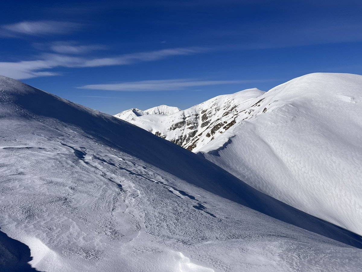 przemyslaw sobczyk tweet media