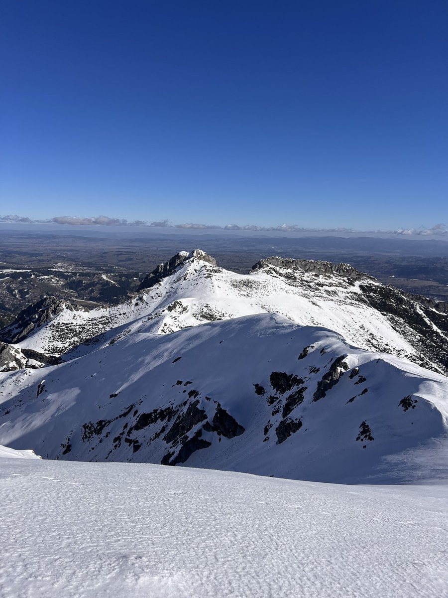 przemyslaw sobczyk tweet media