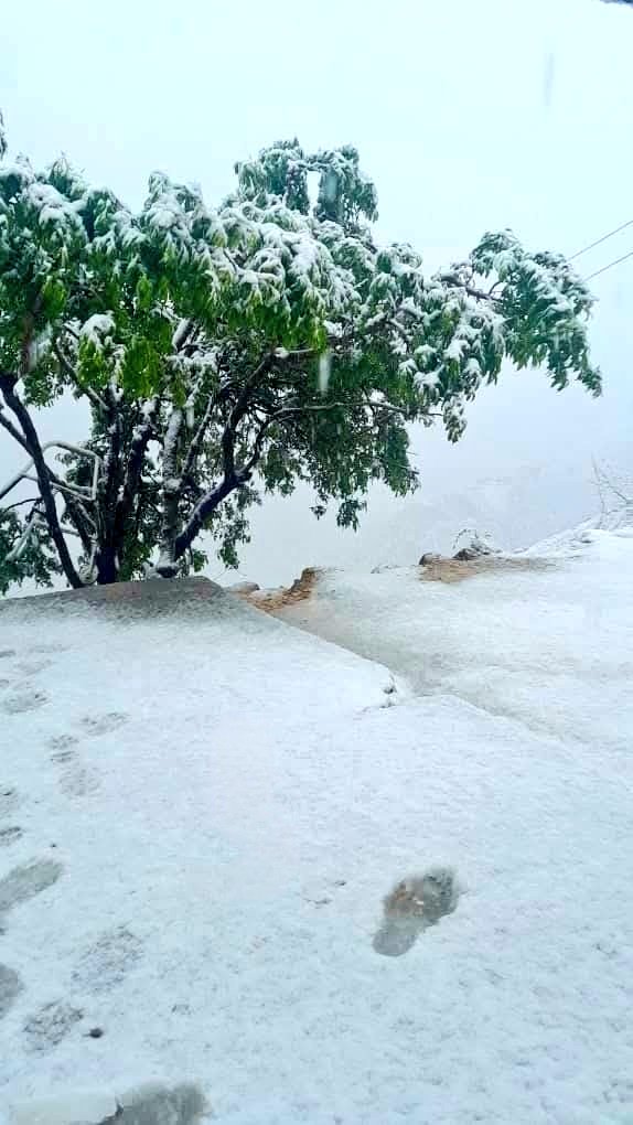 𝙍 𝘼𝙝𝙢𝙙𝙯𝙖𝙞 tweet media