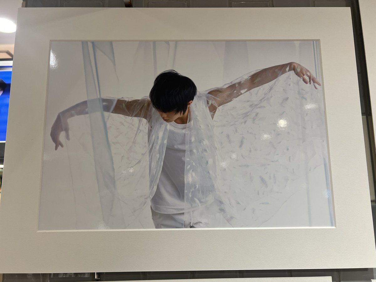 あきら🪽 tweet media