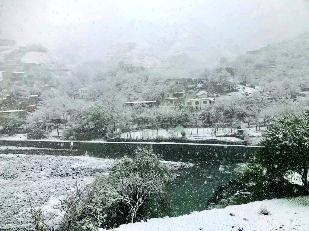 𝙍 𝘼𝙝𝙢𝙙𝙯𝙖𝙞 tweet media