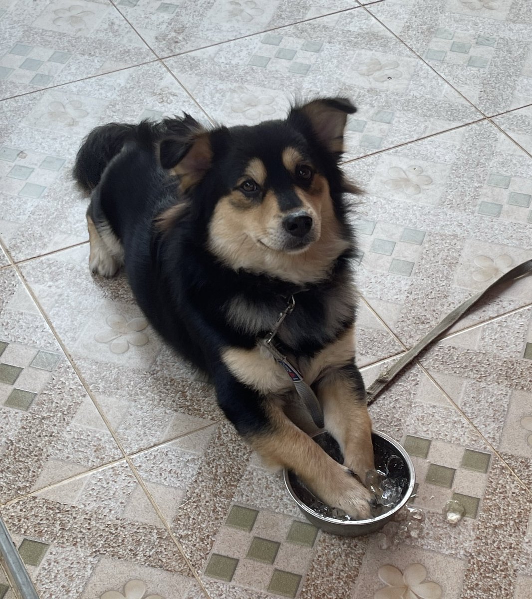 ☃️Nooniiz•ヌン•눈❄️ tweet media