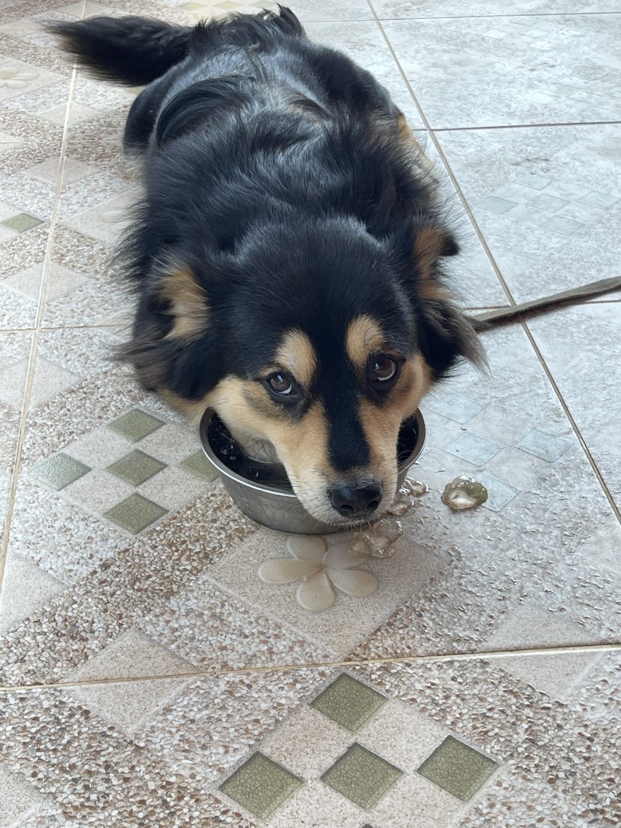 ☃️Nooniiz•ヌン•눈❄️ tweet media