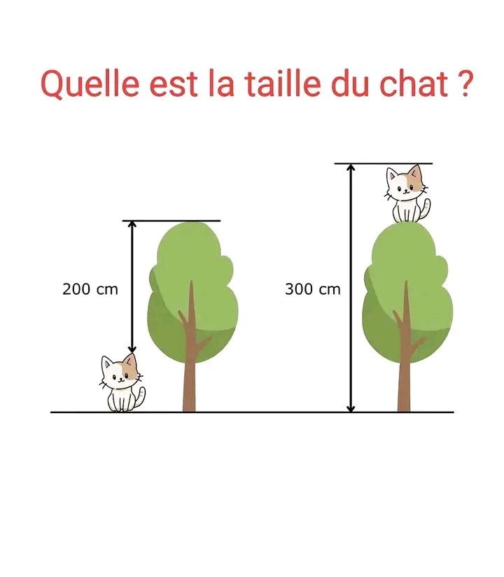 Junior Kaya tweet media