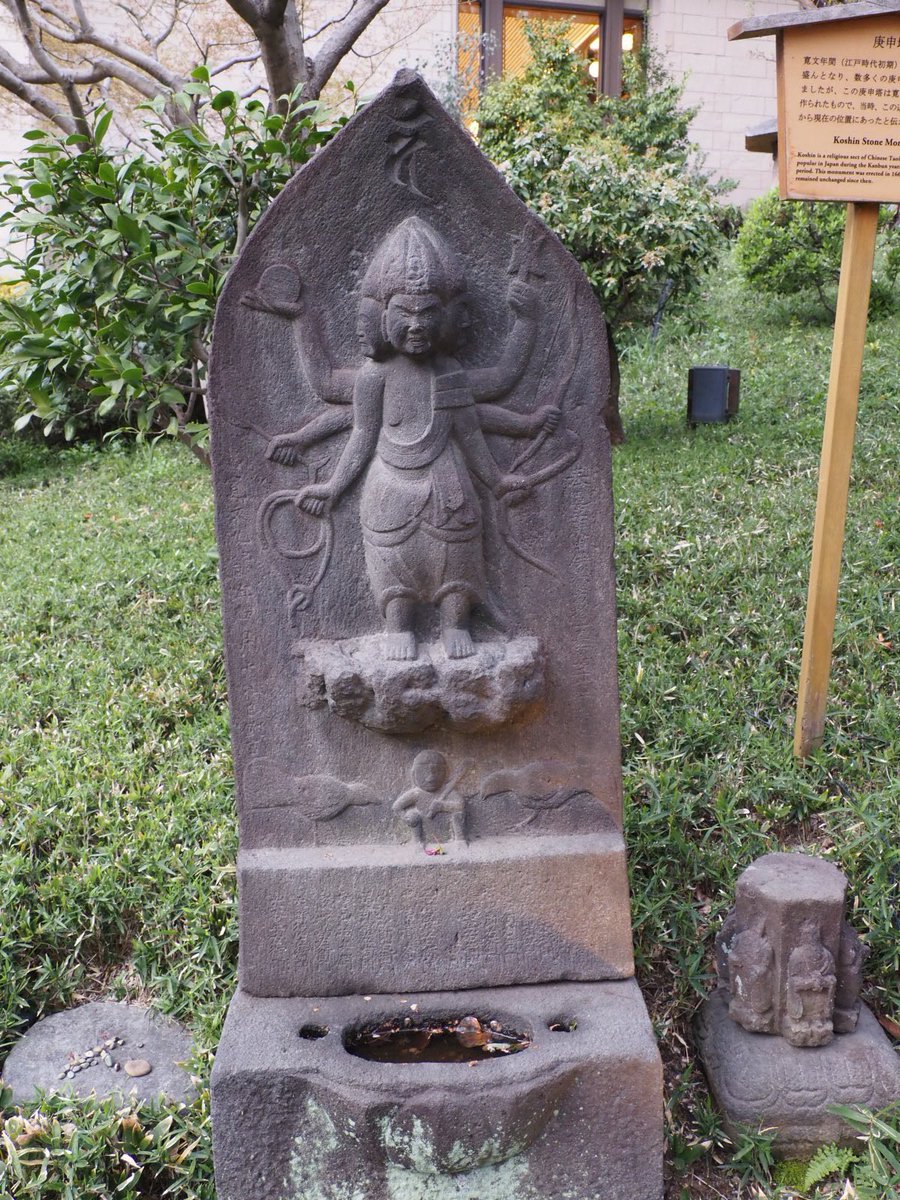 ロプロス tweet media