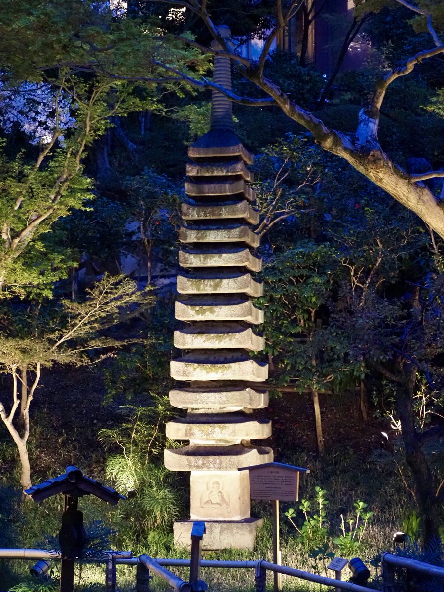 ロプロス tweet media