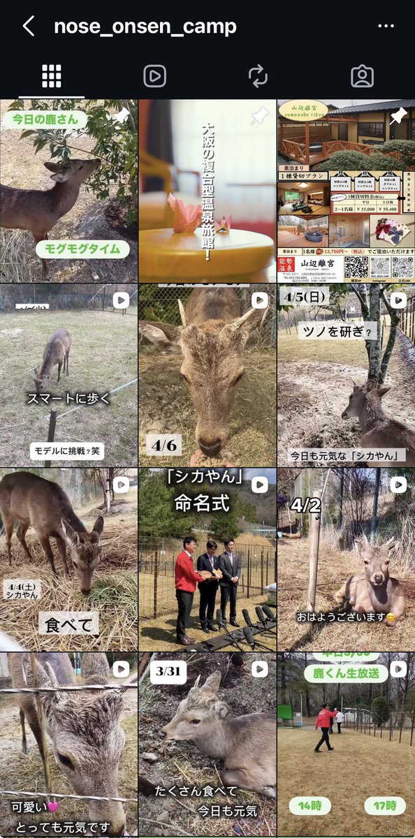 TJT 🌏 tweet media