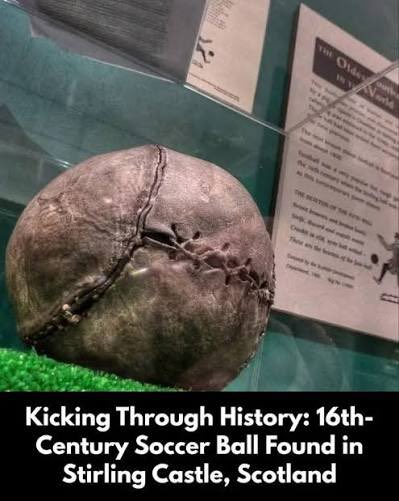 Hazel Stewart tweet media