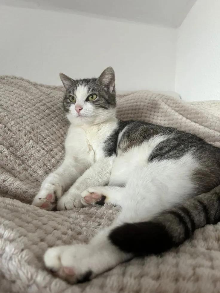 Sara Mary ⭐❤️ tweet media