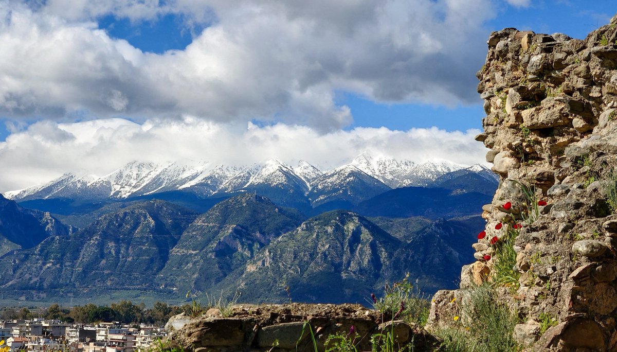 ふたば tweet media