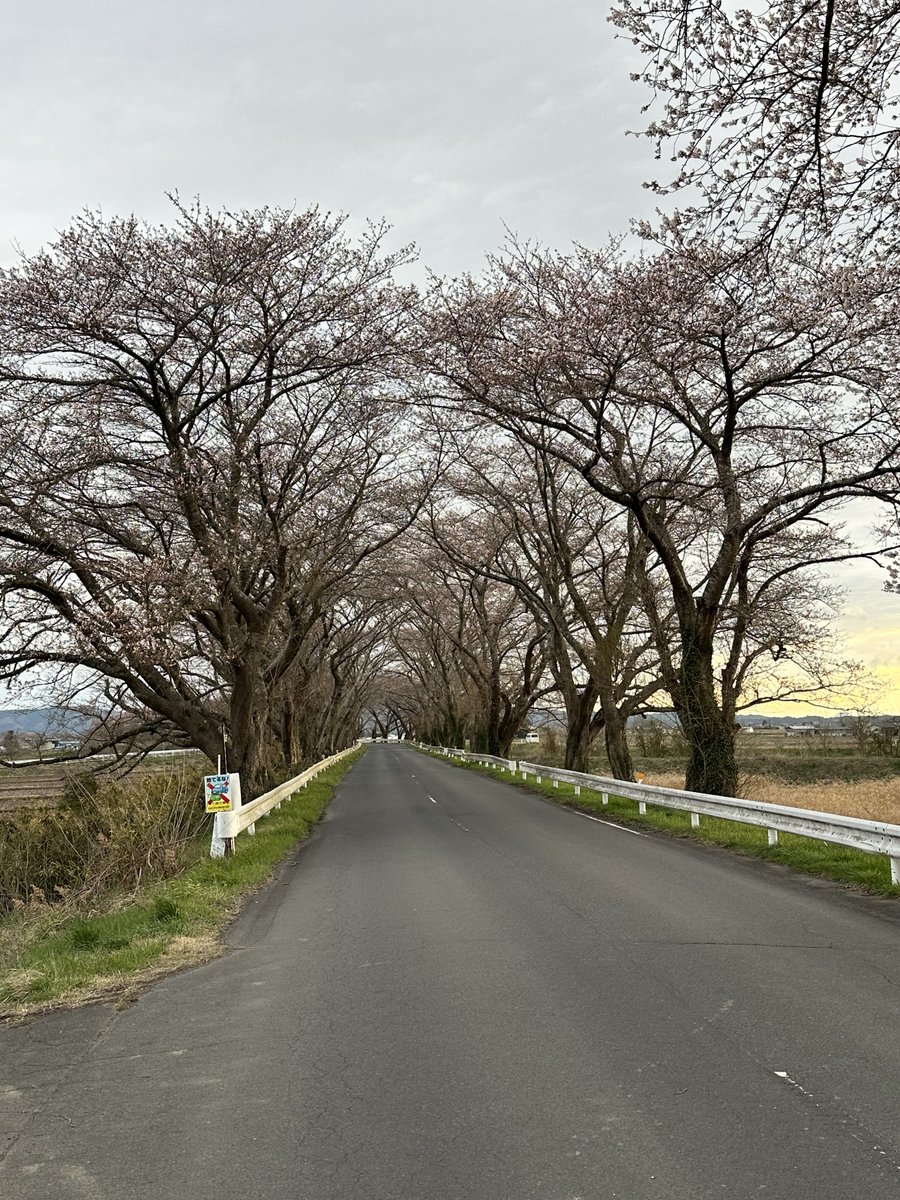 ポチGX tweet media