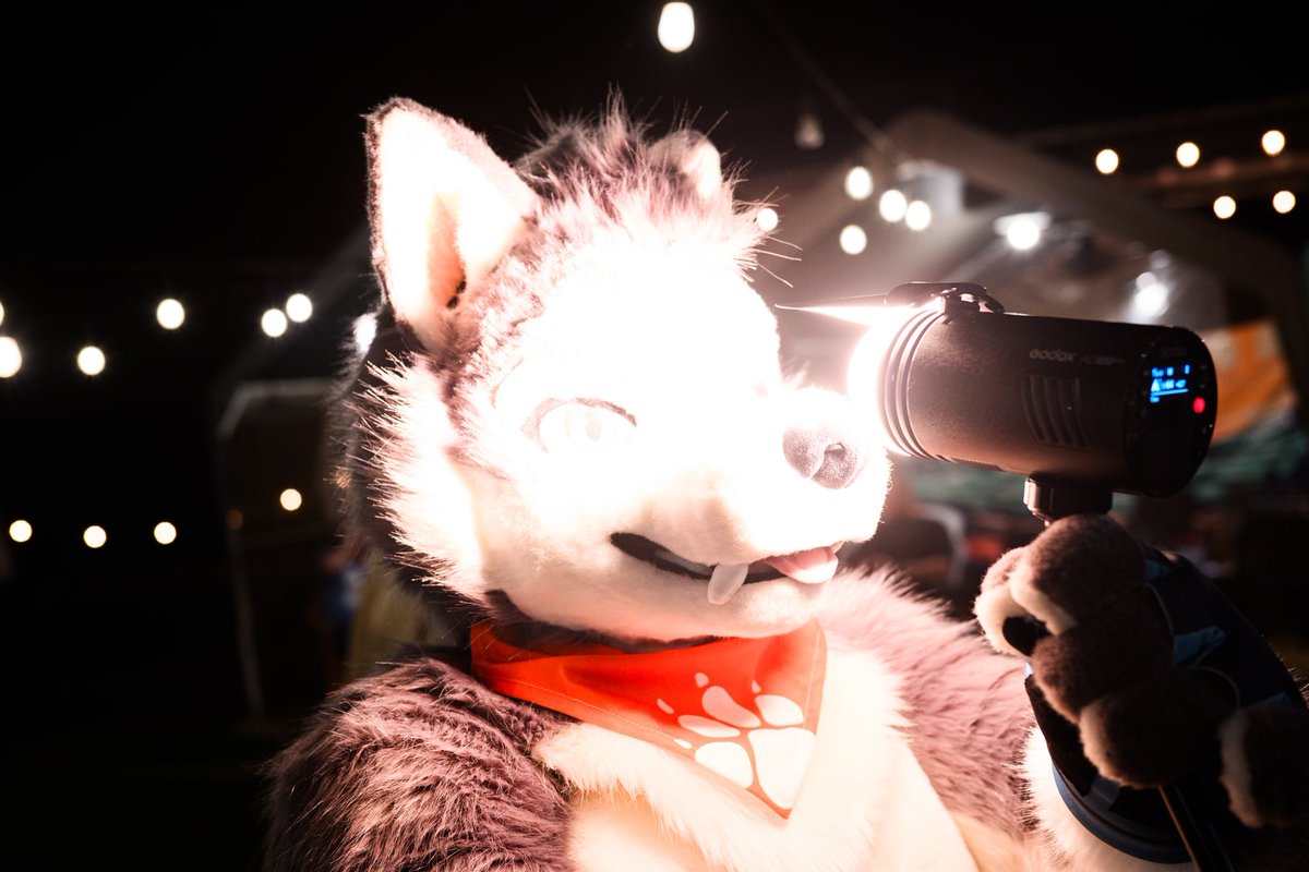 晴海徹 (はるみ とおる) 寫真系Vtuber🔜長毛了 tweet media