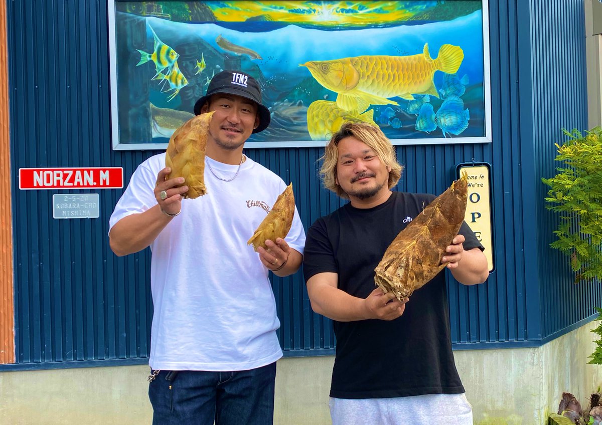 かずきんぐ tweet media