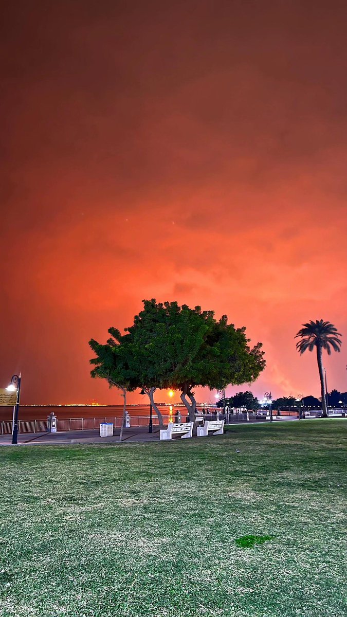 خنجر 🇸🇦 tweet media