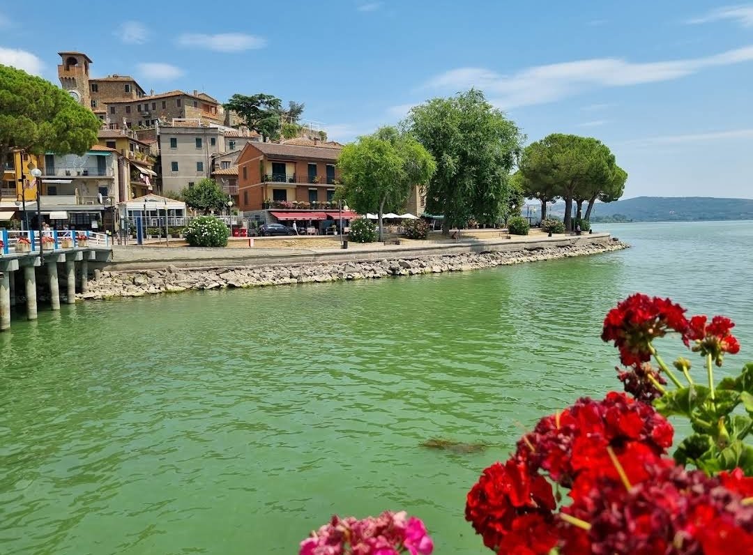 Mostafa Matar tweet media