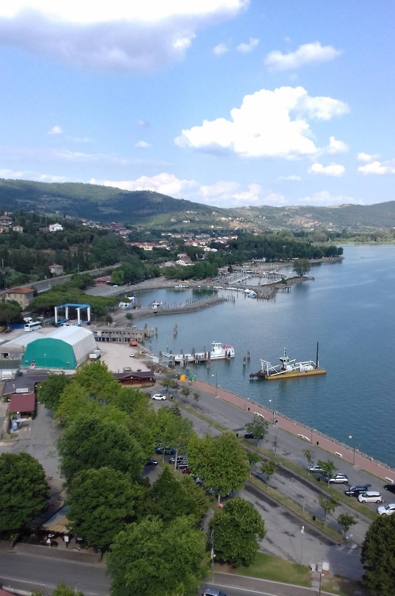 Mostafa Matar tweet media