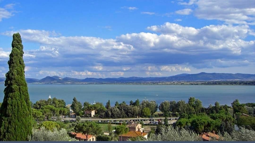 Mostafa Matar tweet media