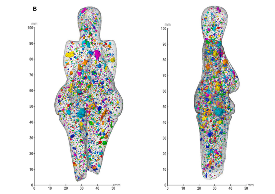 Morphofem 3D tweet media