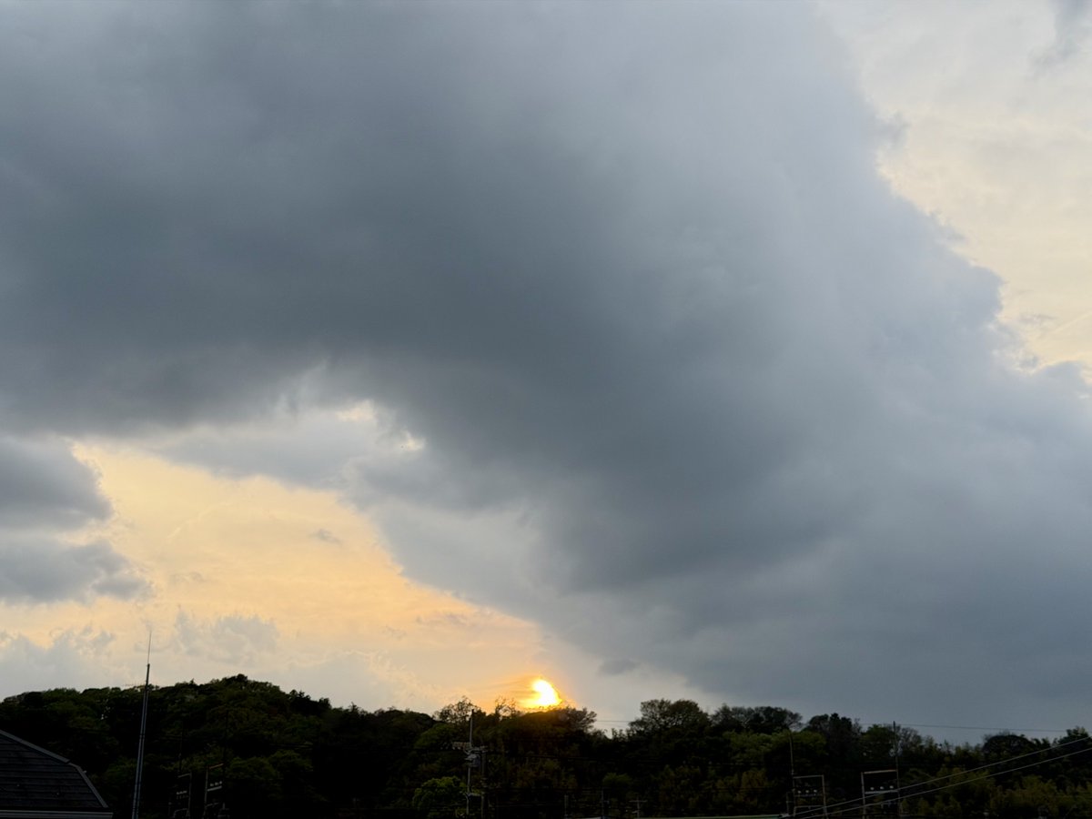 tamiya 🗻🦅🍆🇯🇵 tweet media