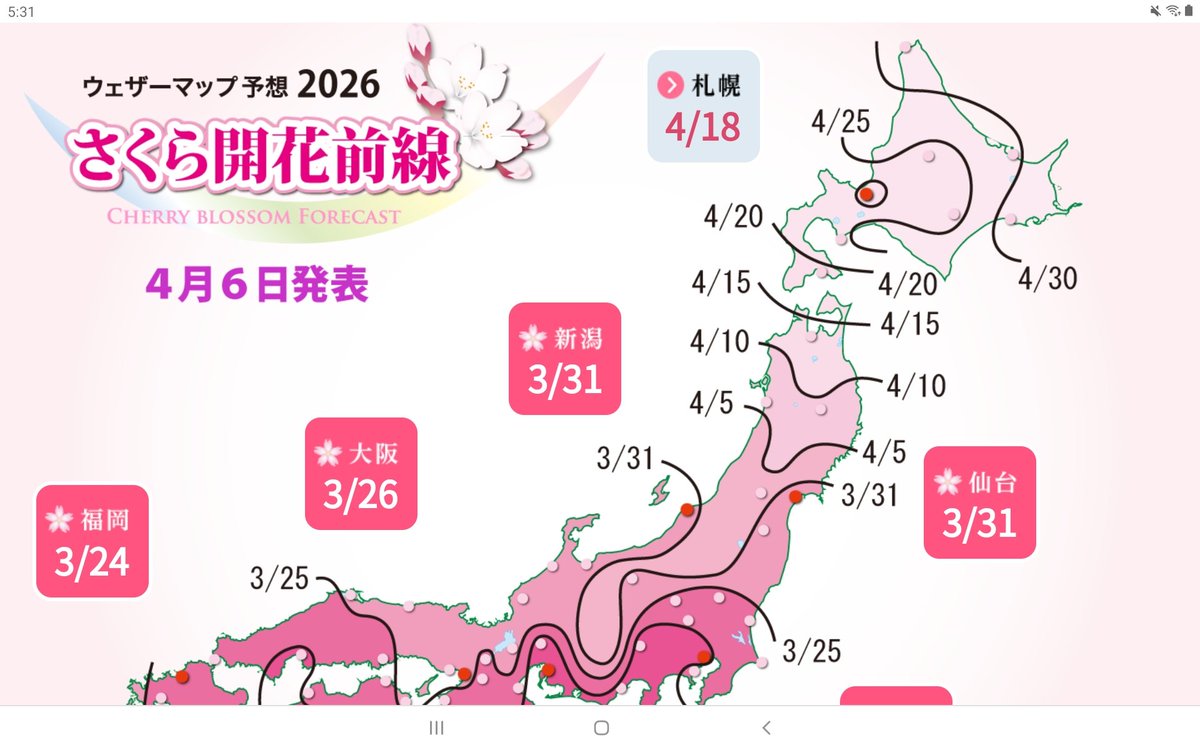 北の鳶 tweet media