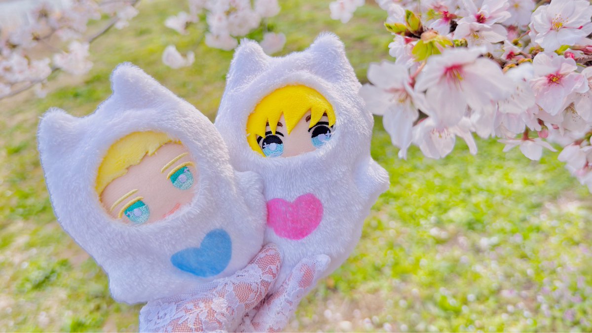 yanagi🌱🍩 tweet media