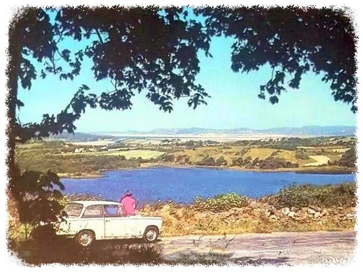 WeLoveDonegal tweet media